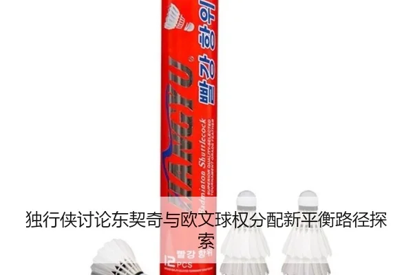 独行侠讨论东契奇与欧文球权分配新平衡路径探索